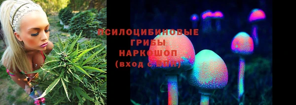 круглые Алексеевка