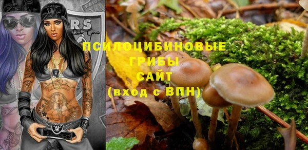 кокс Алзамай