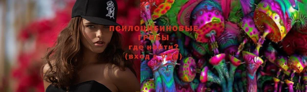 круглые Алексеевка