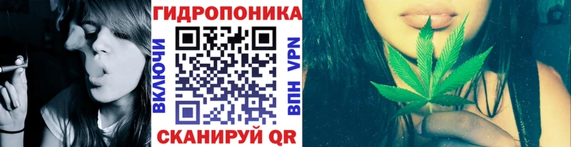 Бошки марихуана Amnesia  Сорск 